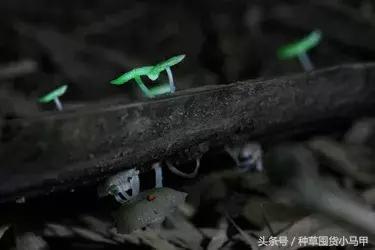 面膜有舒缓修护属于虚假宣传吗,面膜辟谣视频