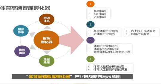 视界丨张强：构建人人参与型青少年五人制足球发展体系