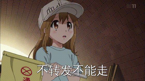 1.2米sps海缸低密度,sps1.5米造景