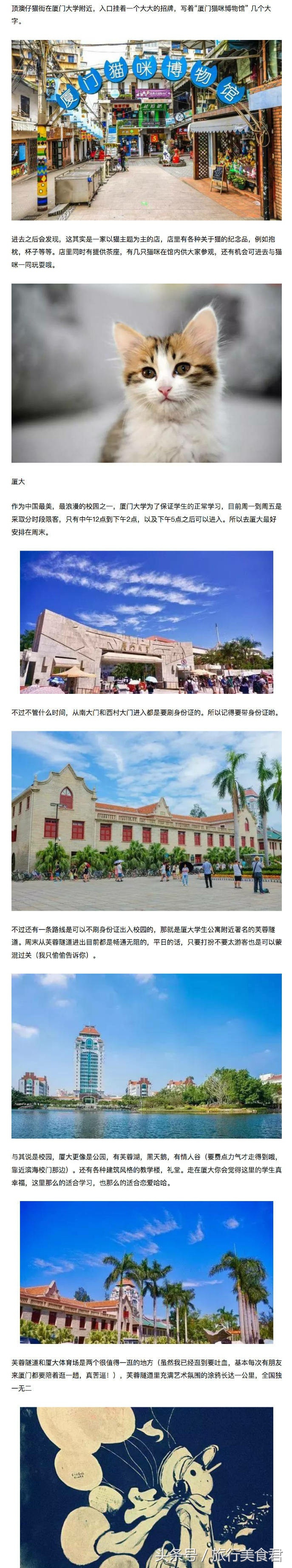 厦门美食攻略最值得推荐的,厦门哪里的当地特色美食比较正宗