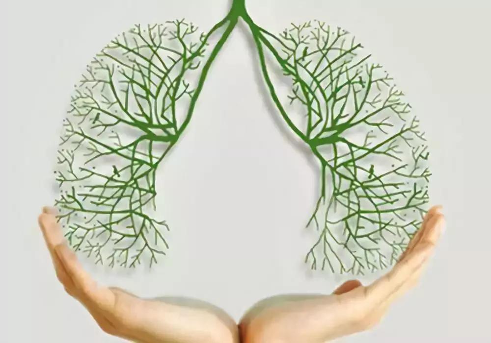 最有效的结核病治疗方案，在这里！