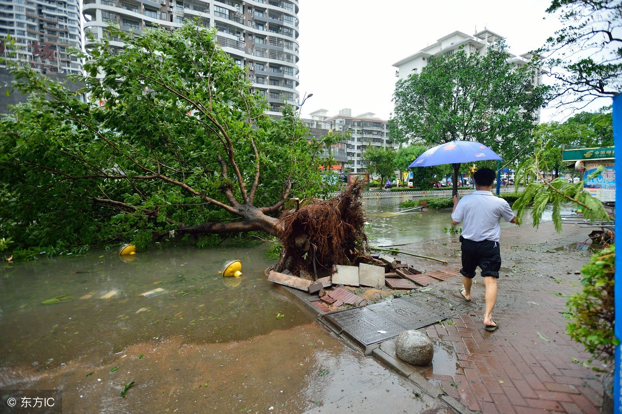 历史上最严重台风灾害,中国十大台风灾难事件