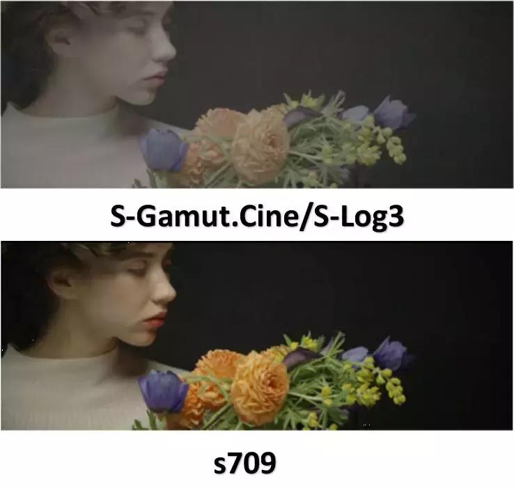 VENICE影像风格移植到FS5,FS7和微单，s709LUT“特别版”了解下