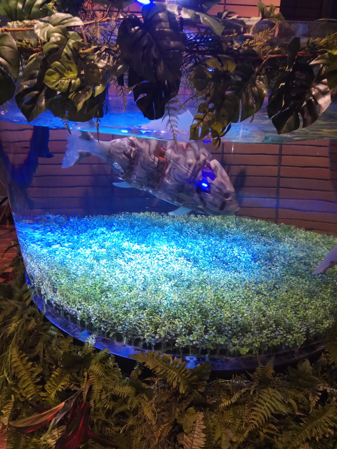 七月我来了慢动作教学,7月我来了图片