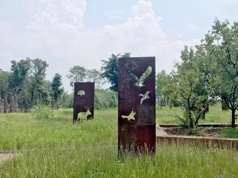 青龙湖好玩不,青龙湖值得去吗