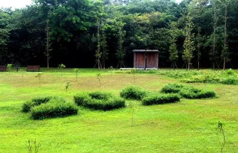 青龙湖好玩不,青龙湖值得去吗