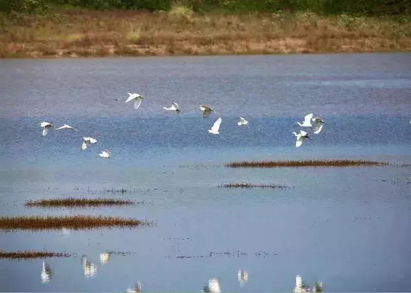 青龙湖好玩不,青龙湖值得去吗