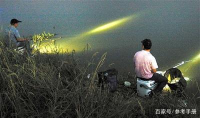 夜钓用什么灯光好钓鱼,夜钓灯光能诱鱼吗