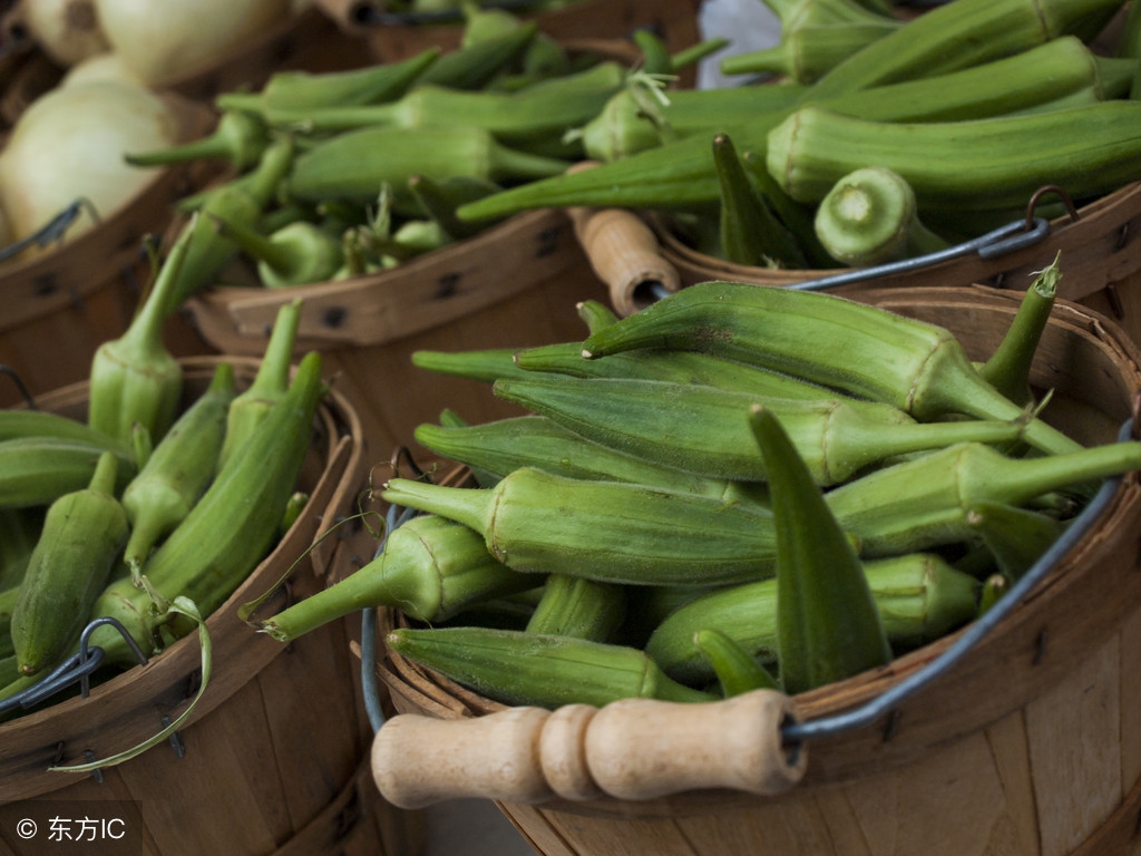 三伏天，这道菜成夏天餐桌“网红”，其营养成分还有人不知道