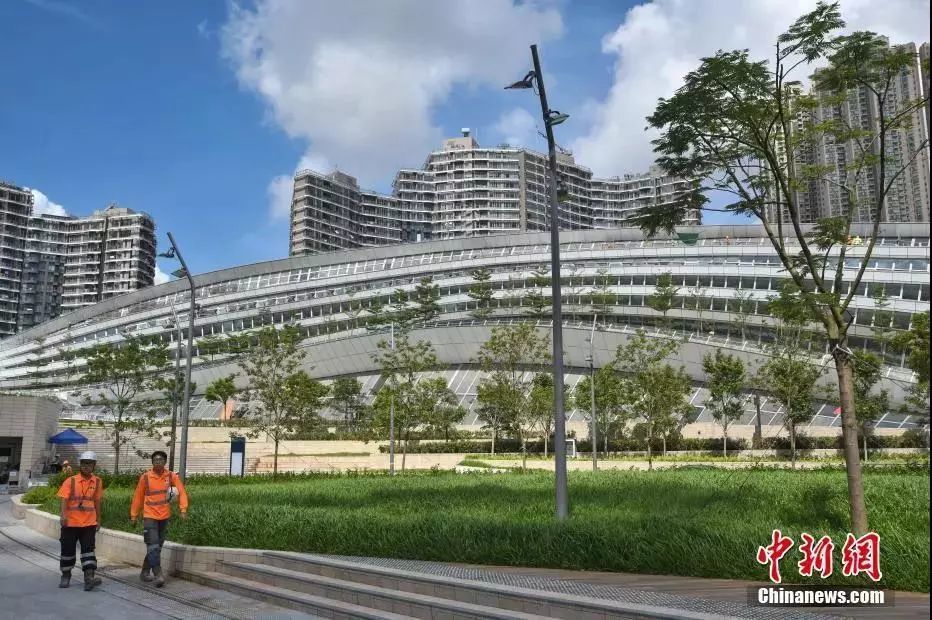 郑州直达香港的飞机票多少钱,郑州去香港怎么去方便