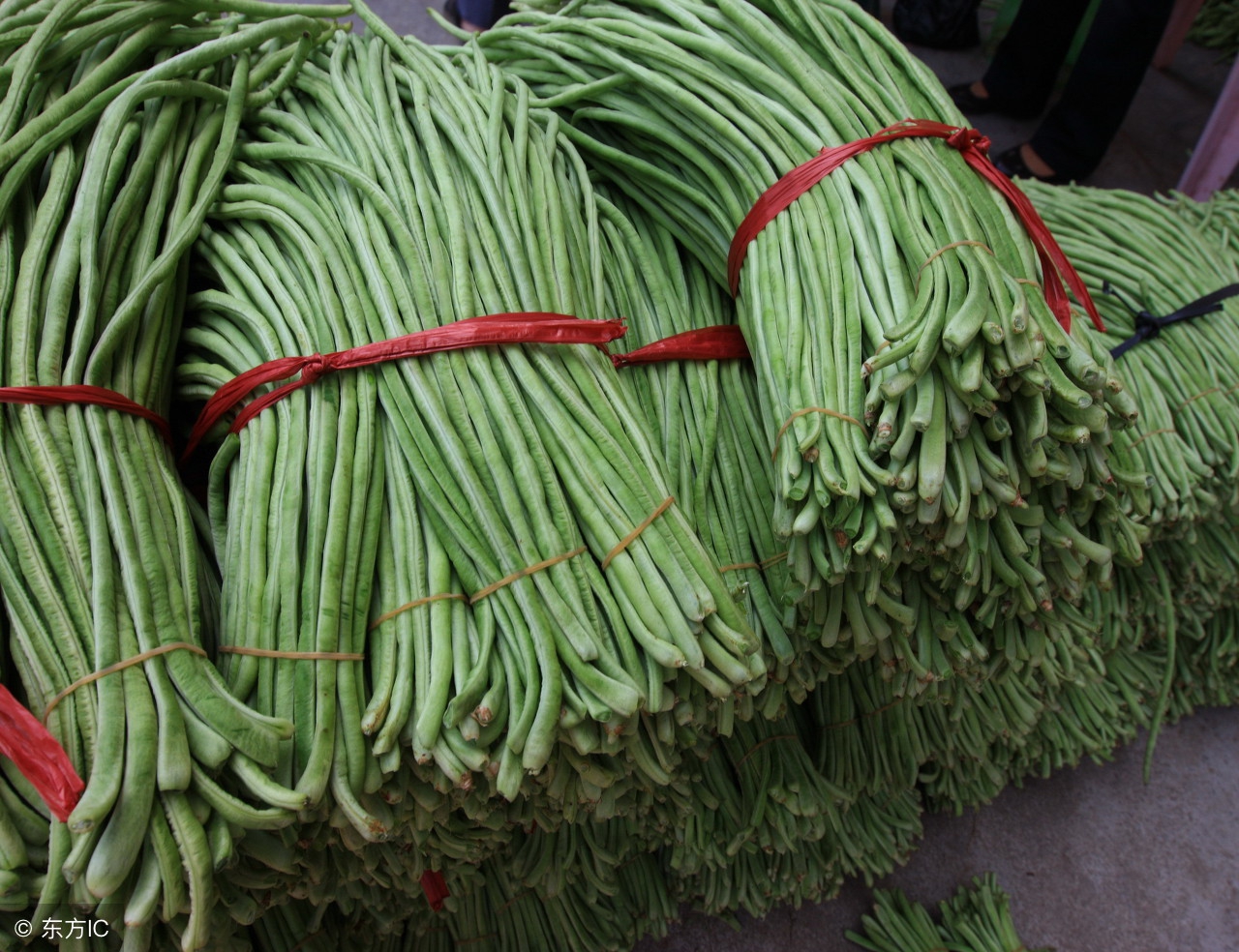 豇豆角亩产多少斤,豇豆角营养价值和功效