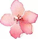 这么多美鞋3折起,买什么最贵iPhone,还不如换20双鞋!