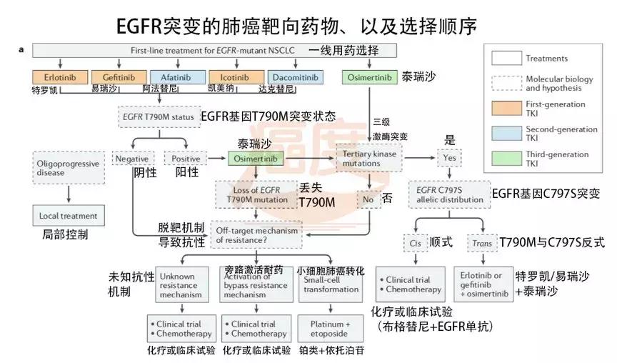 肺癌alk基因突变靶向药怎么选择,肺癌egfr突变靶向药效果怎么样
