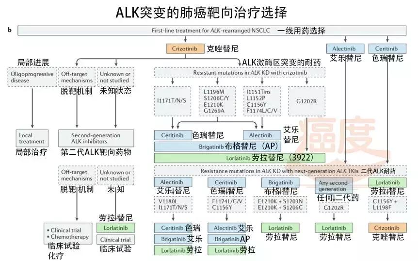 肺癌alk基因突变靶向药怎么选择,肺癌egfr突变靶向药效果怎么样