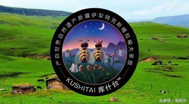 与我们此生的甜蜜如初：库什台野*党**参花蜂蜜