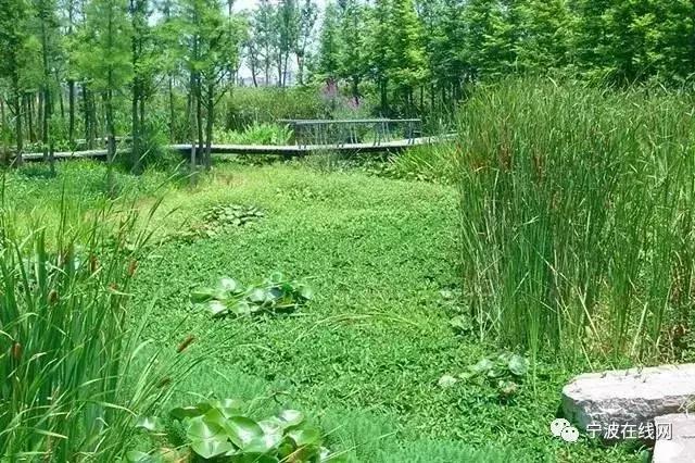 宁波古道免费景点大全,宁波游玩的免费门票景点推荐