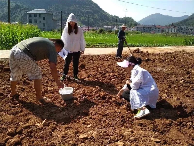 致敬高温“烤”验下的劳动者：阳光很烈，你们很美！