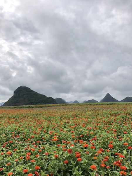 求助自驾云南普者黑攻略,成都普者黑建水昆明7天自驾