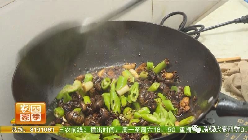 夏日纳凉好不惬意,夏日纳凉