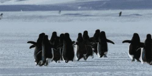 沃尔沃c70敞篷车什么时候复活,老款沃尔沃c70敞篷版