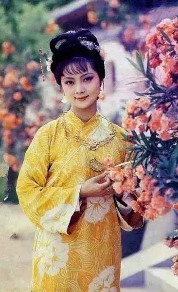 红楼梦对联人情世故,红楼梦七副对联