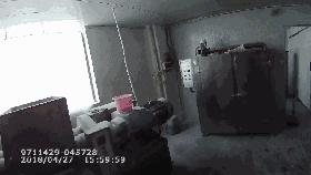 假德芙和真德芙,假德芙什么样子的