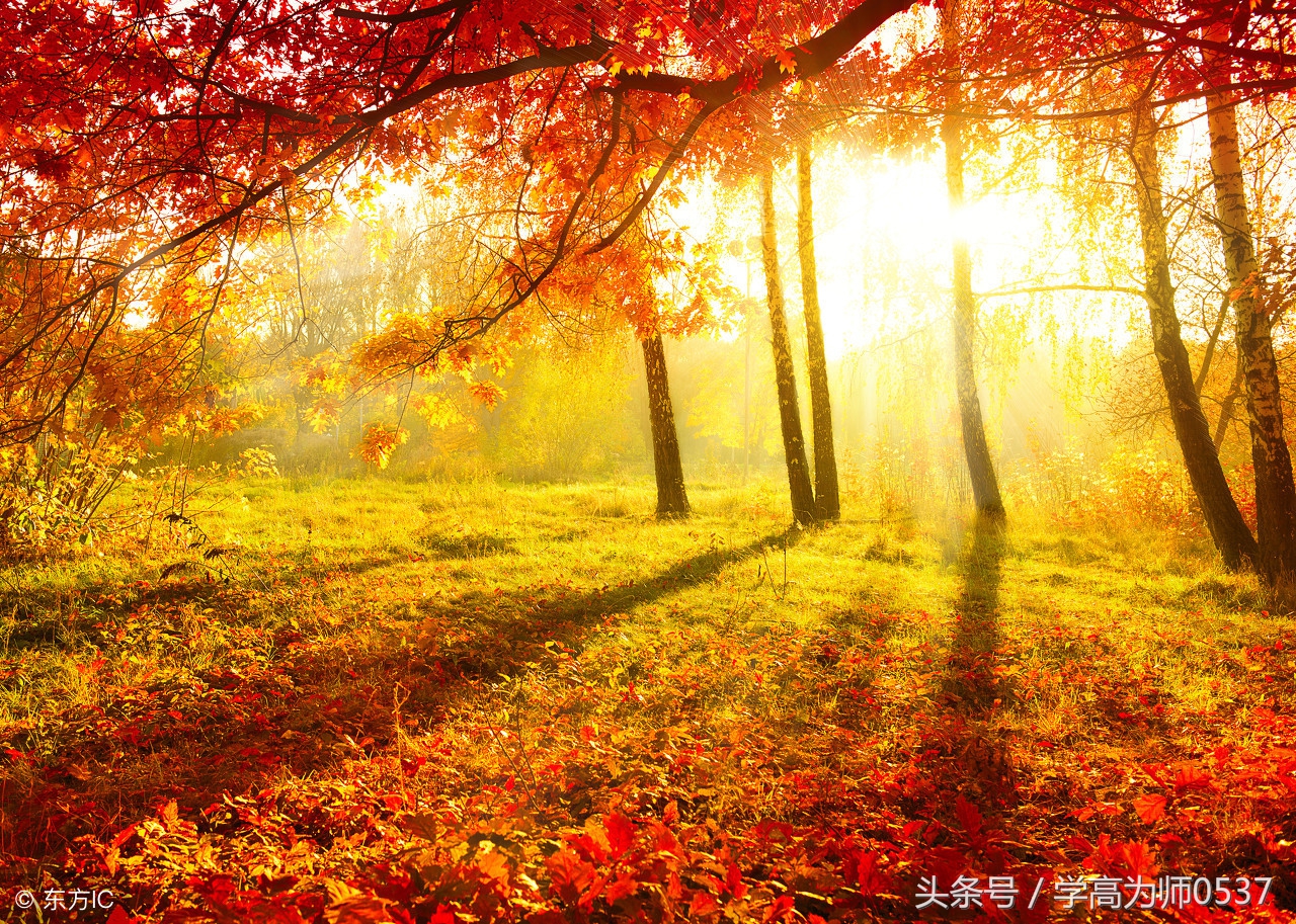 写春夏秋冬美景的作文,作文写景春夏秋冬500字以上