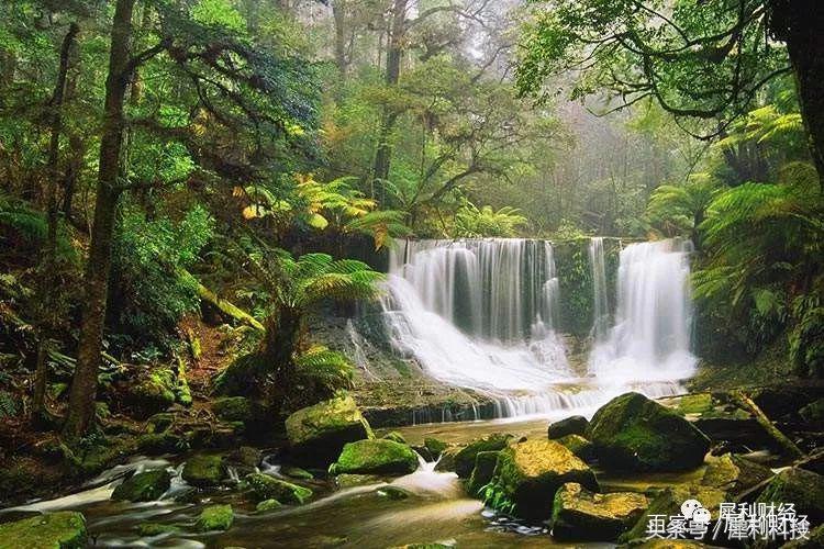 唯品会的品牌特卖之路越走越宽,唯品会从特卖网站转型