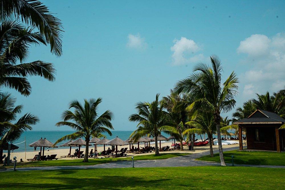 芒果之乡歌曲,芒果之乡的芒果品种