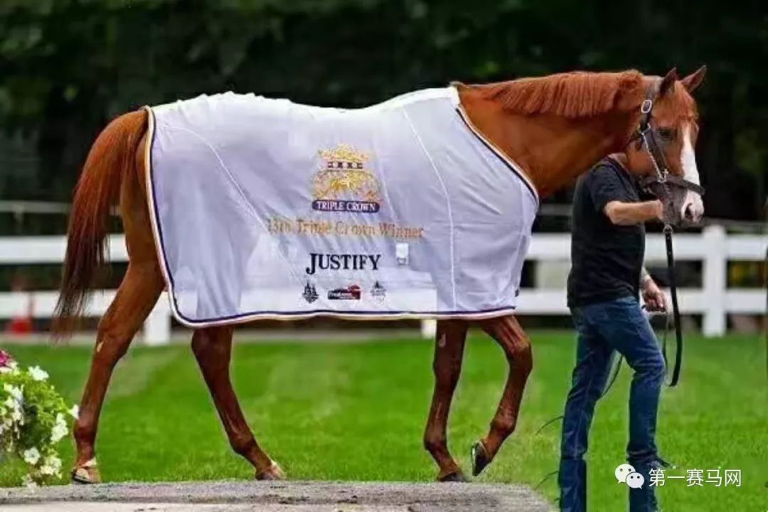 七夕到了单身狗有话要说,七夕快到了准备吃狗粮