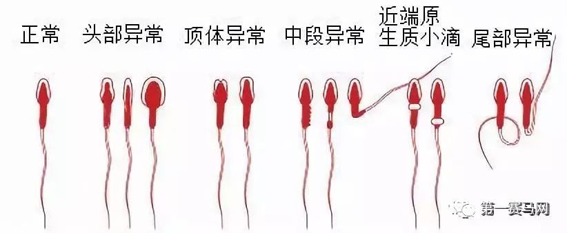 七夕到了单身狗有话要说,七夕快到了准备吃狗粮