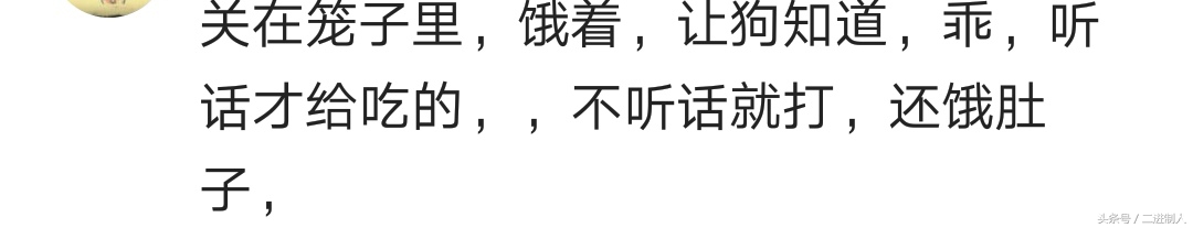 泰迪咬人怎么调节心理,泰迪咬人是它把自己当老大了吗