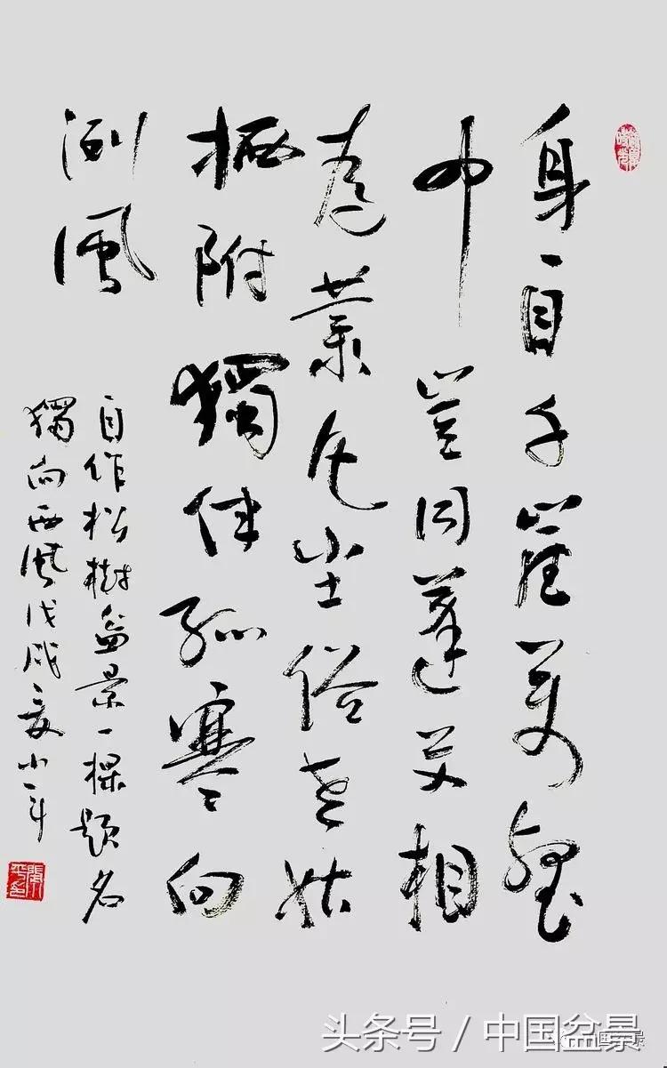 小林国雄黑松文人树盆景,黑松文人树盆景造型