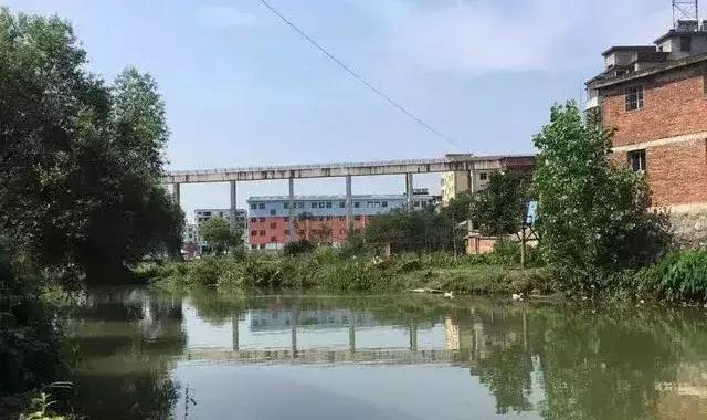 金瑞的小故事,关于黄金的十件小事