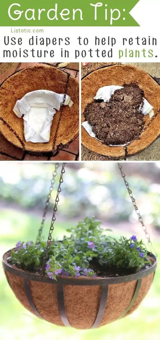 100个科技创意点子五年级,园艺有趣的创意