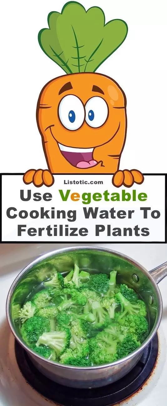 100个科技创意点子五年级,园艺有趣的创意