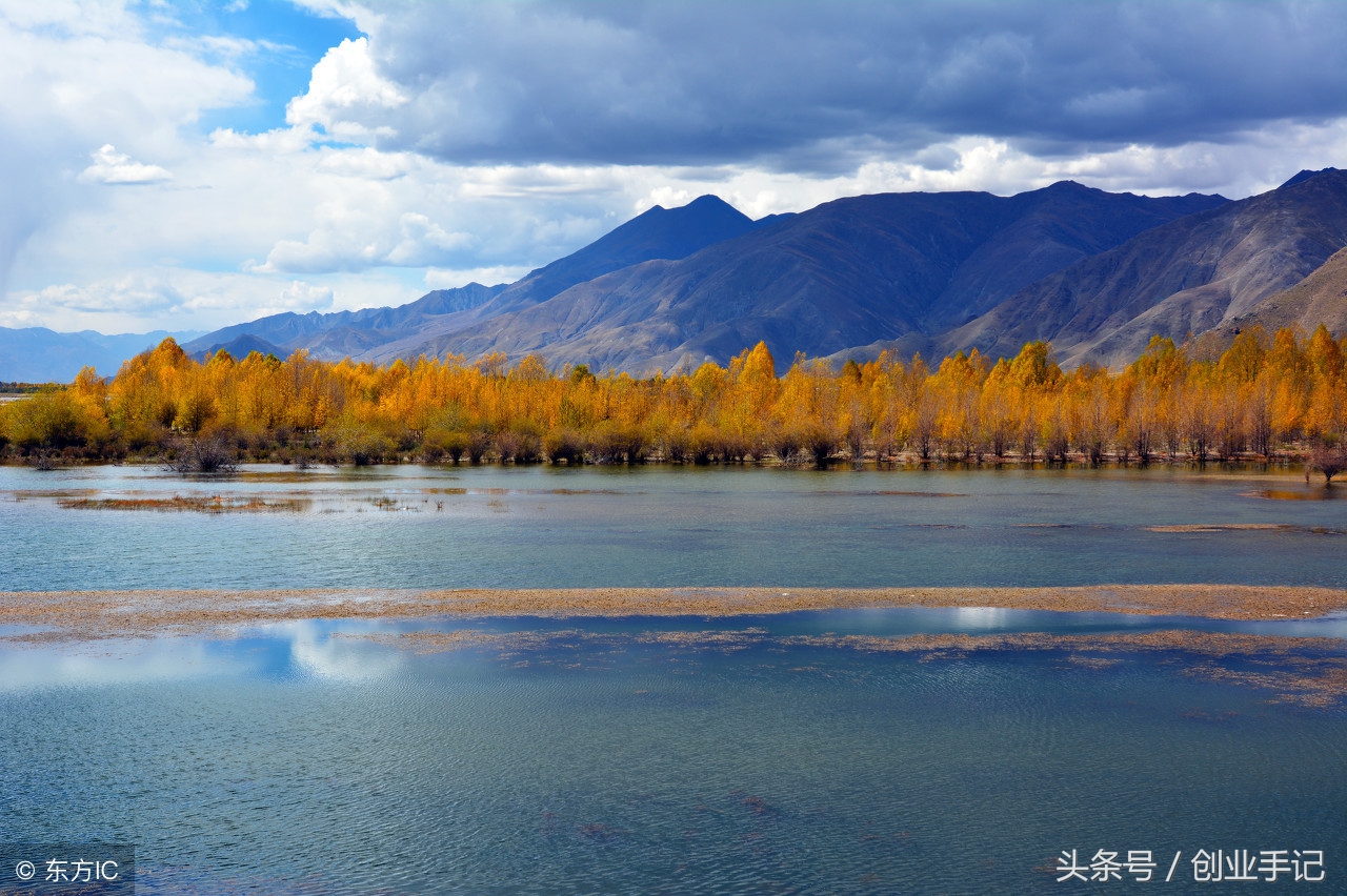 搭错车终究还是错过了,搭错车