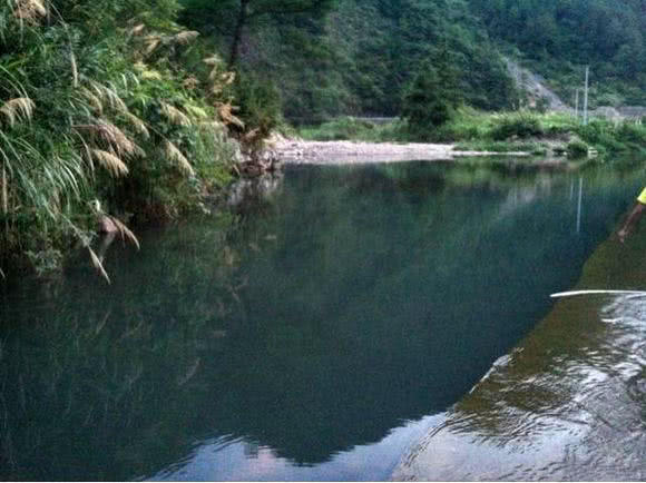 溪流里最多的就是这种光唇鱼，误食了鱼籽可能引发腹泻