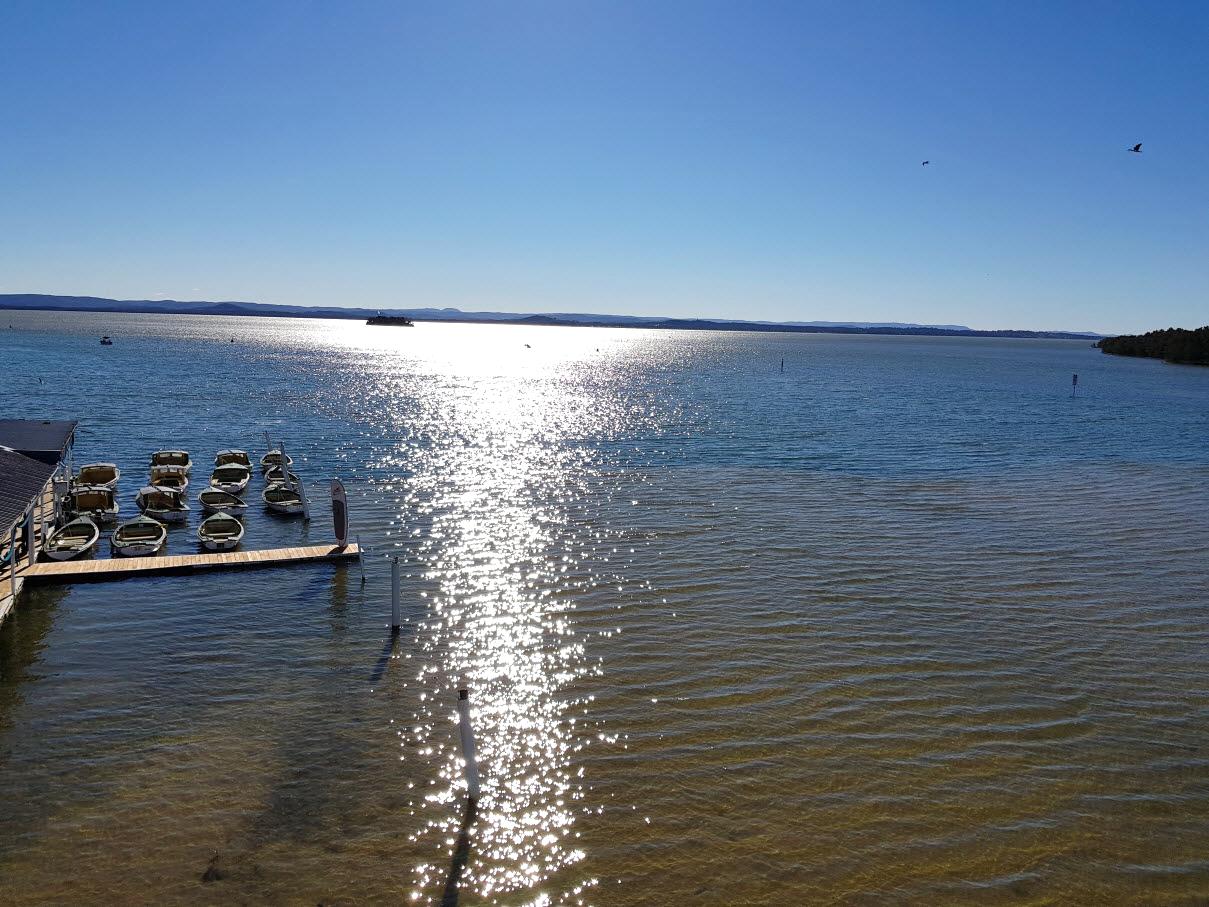 出走澳洲：到鹈鹕之都赏三面水景，观群鸟争食