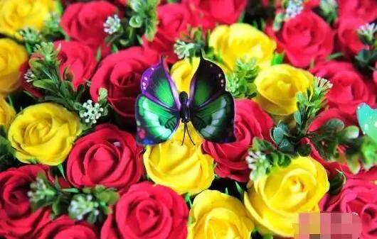 明日七夕，最美幸福花送给群里所有的朋友！（谁打开，谁幸福）