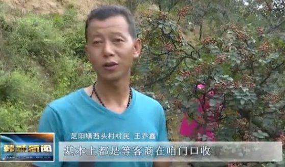 农副产品电商快车,农副产品电商规划