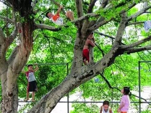 一个养牛少妇在床上说的话：白天养牛，晚上还要……