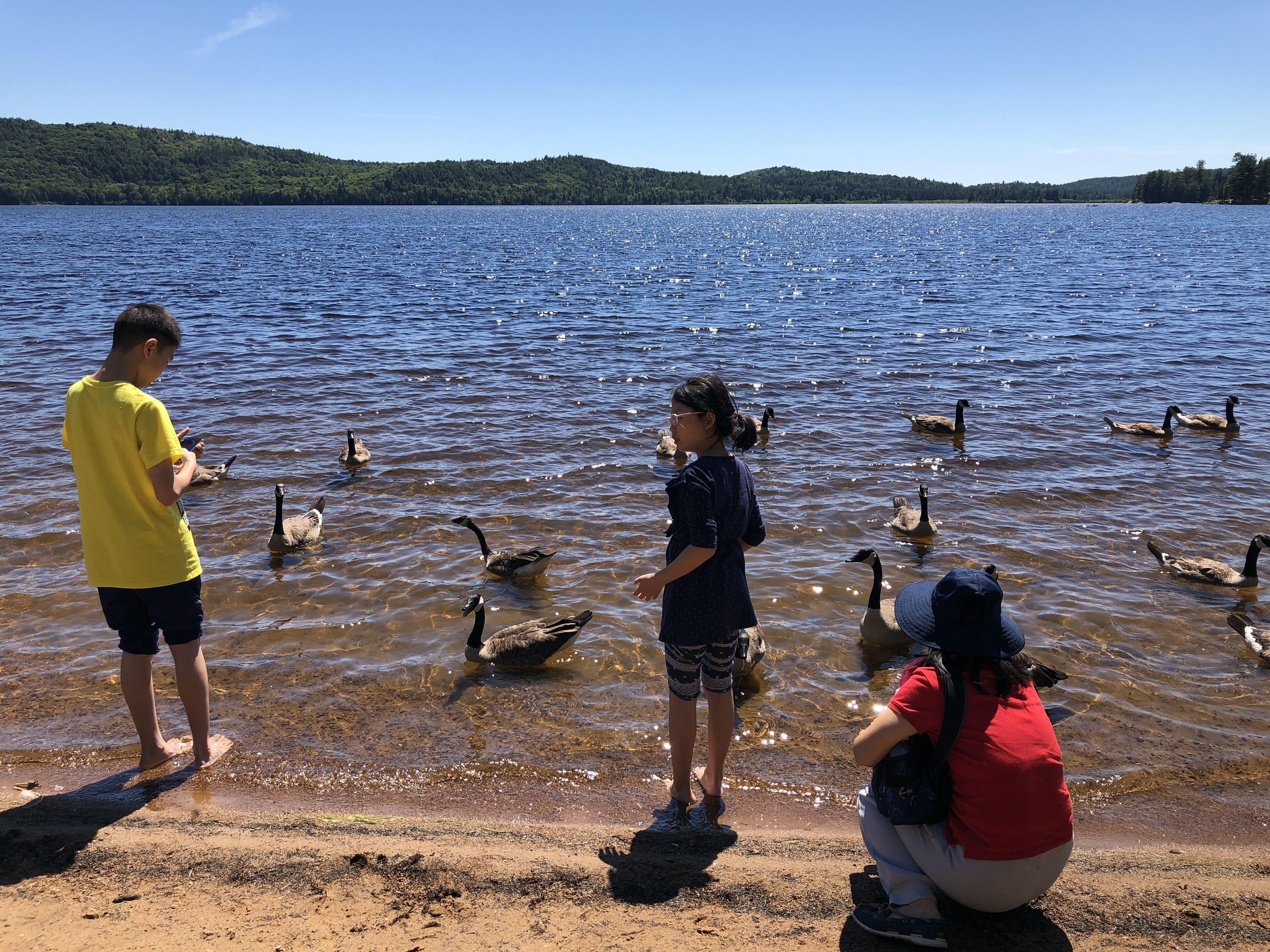 20180716至7月31日加拿大魁北克自驾游