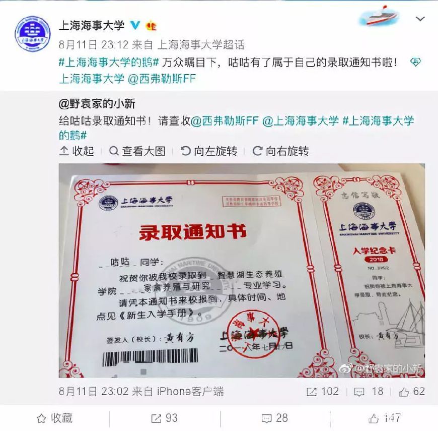 盘点各大高校宠物,这些呆萌可爱的萌宠你爱了吗