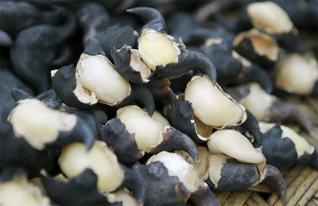 肺吸虫最怕三种食物,有肺吸虫的食物