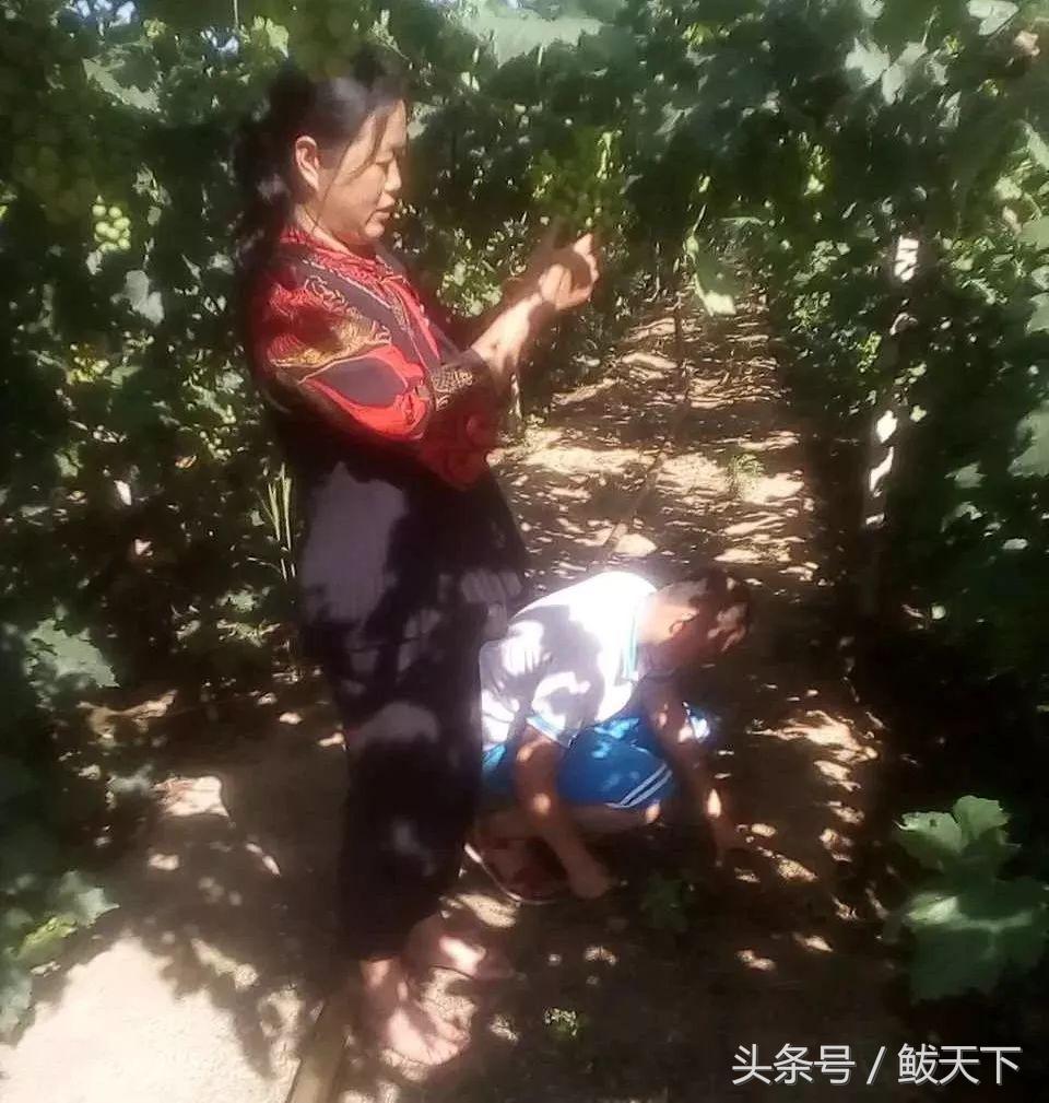 营口发布四个“十大名单”！鲅鱼圈这些人的上榜原因很感人