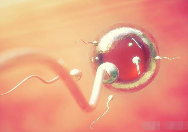 女人受孕要怎么做,想要受孕精子必须达到什么标准