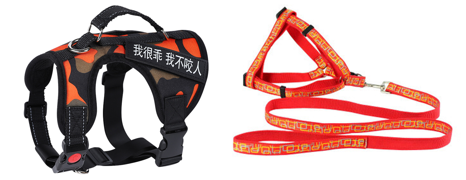 带狗狗出去遛弯需要准备什么,第一次带狗狗长途旅行