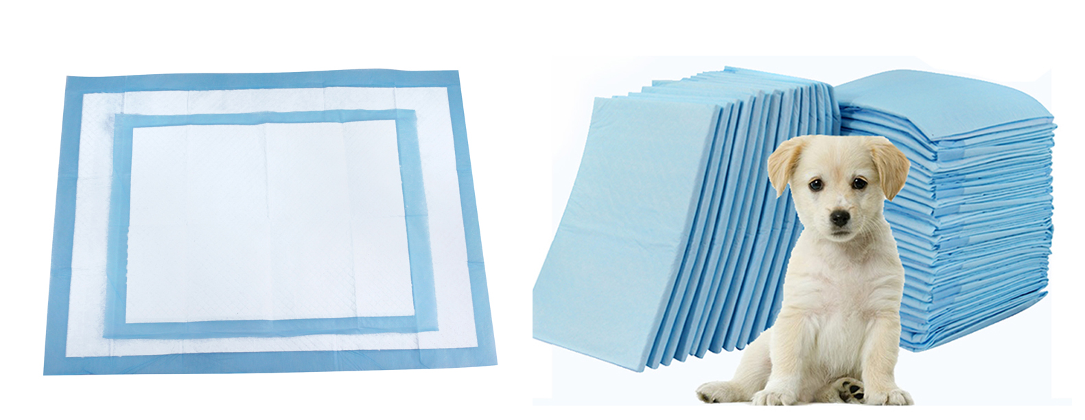 带狗狗出去遛弯需要准备什么,第一次带狗狗长途旅行