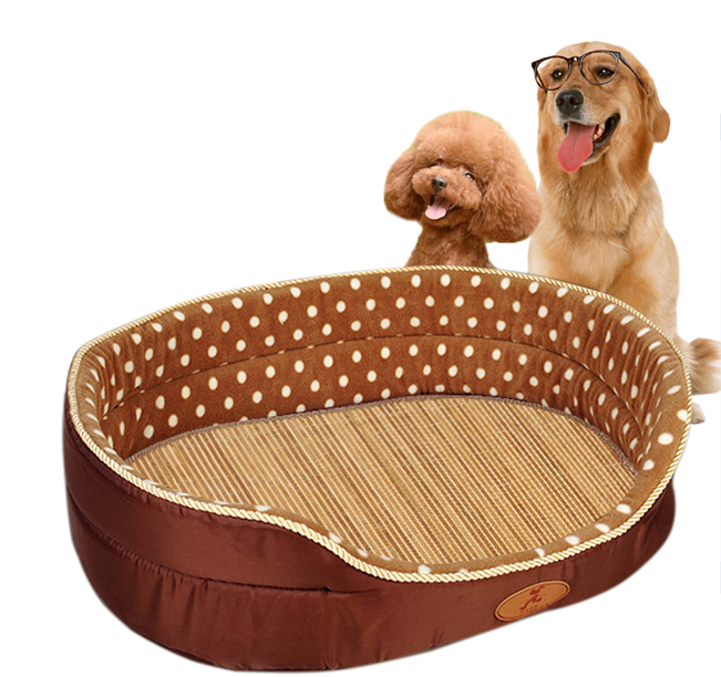 带狗狗出去遛弯需要准备什么,第一次带狗狗长途旅行